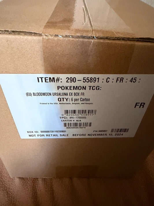 Case coffret ursaking fr scellé